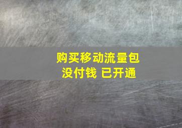 购买移动流量包 没付钱 已开通